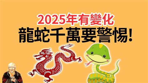 2025年 生肖|2025年生肖運勢解析出爐！乙巳靈蛇年屬狗、屬猴好運難擋 